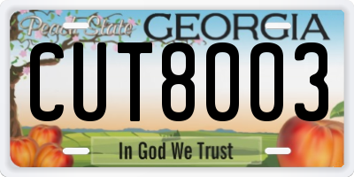 GA license plate CUT8003