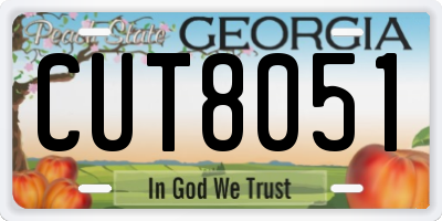 GA license plate CUT8051