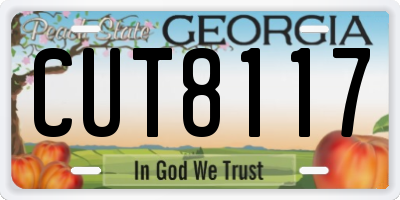 GA license plate CUT8117