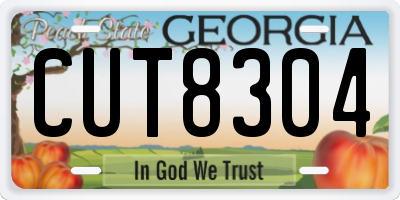 GA license plate CUT8304
