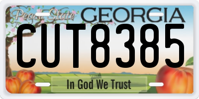 GA license plate CUT8385