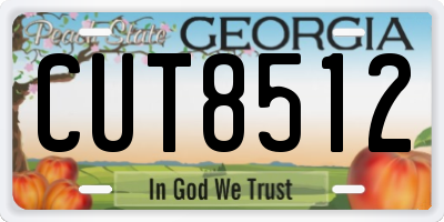 GA license plate CUT8512