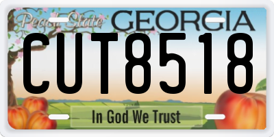 GA license plate CUT8518
