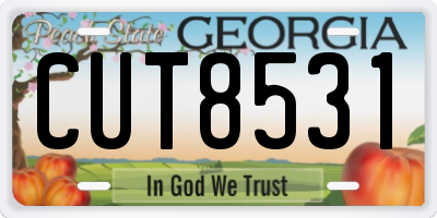 GA license plate CUT8531