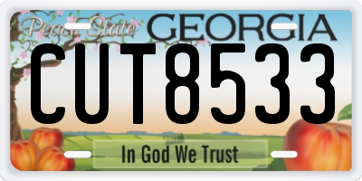 GA license plate CUT8533