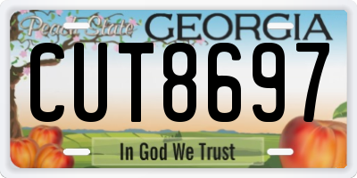 GA license plate CUT8697