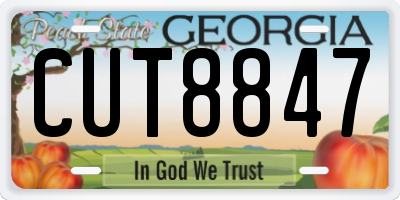 GA license plate CUT8847