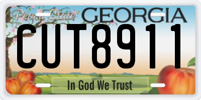 GA license plate CUT8911