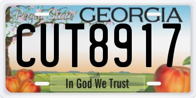 GA license plate CUT8917