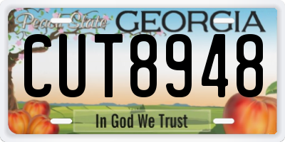 GA license plate CUT8948