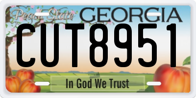 GA license plate CUT8951