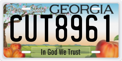 GA license plate CUT8961