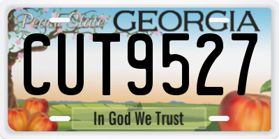 GA license plate CUT9527