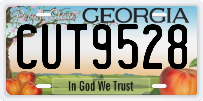 GA license plate CUT9528