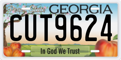 GA license plate CUT9624