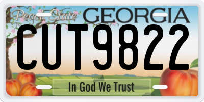 GA license plate CUT9822