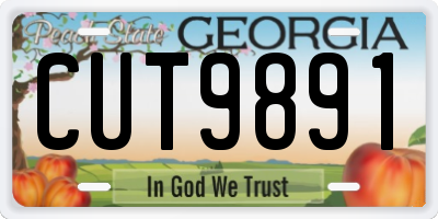 GA license plate CUT9891