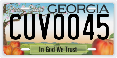 GA license plate CUV0045