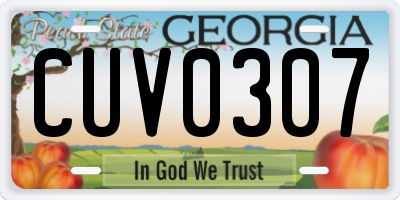 GA license plate CUV0307