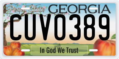 GA license plate CUV0389