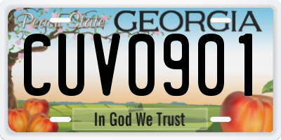 GA license plate CUV0901