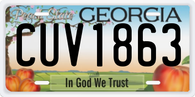 GA license plate CUV1863