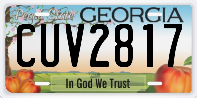 GA license plate CUV2817