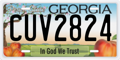 GA license plate CUV2824