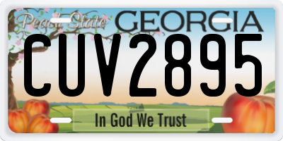 GA license plate CUV2895