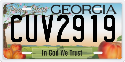 GA license plate CUV2919