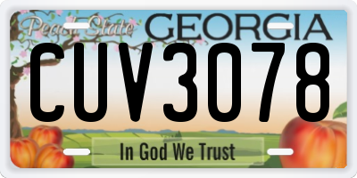 GA license plate CUV3078