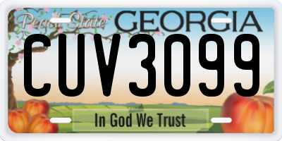 GA license plate CUV3099