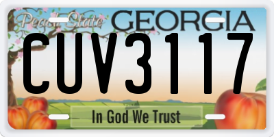 GA license plate CUV3117