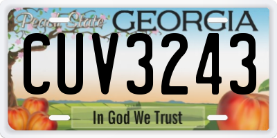 GA license plate CUV3243
