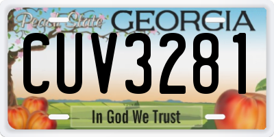 GA license plate CUV3281