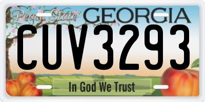 GA license plate CUV3293