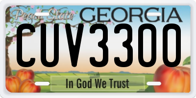 GA license plate CUV3300