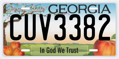 GA license plate CUV3382