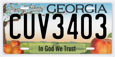 GA license plate CUV3403