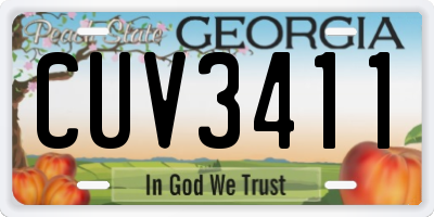GA license plate CUV3411