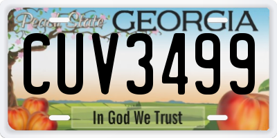 GA license plate CUV3499