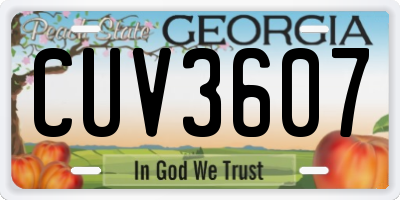 GA license plate CUV3607