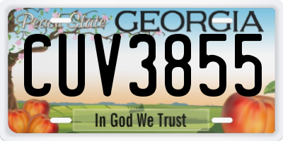 GA license plate CUV3855