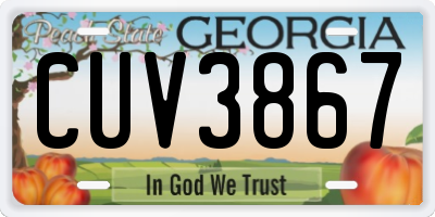 GA license plate CUV3867