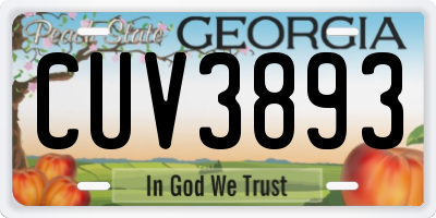 GA license plate CUV3893