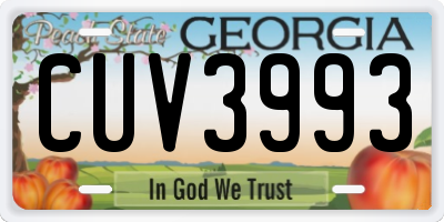 GA license plate CUV3993