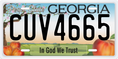 GA license plate CUV4665