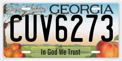 GA license plate CUV6273