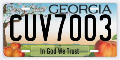 GA license plate CUV7003