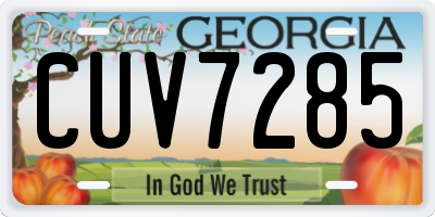 GA license plate CUV7285